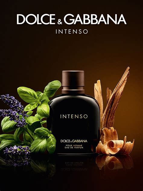 intenso dolce gabbana duschgel|dolce and gabbana intenso notes.